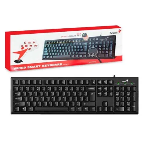 Teclado Genius KB-100 USB Negro